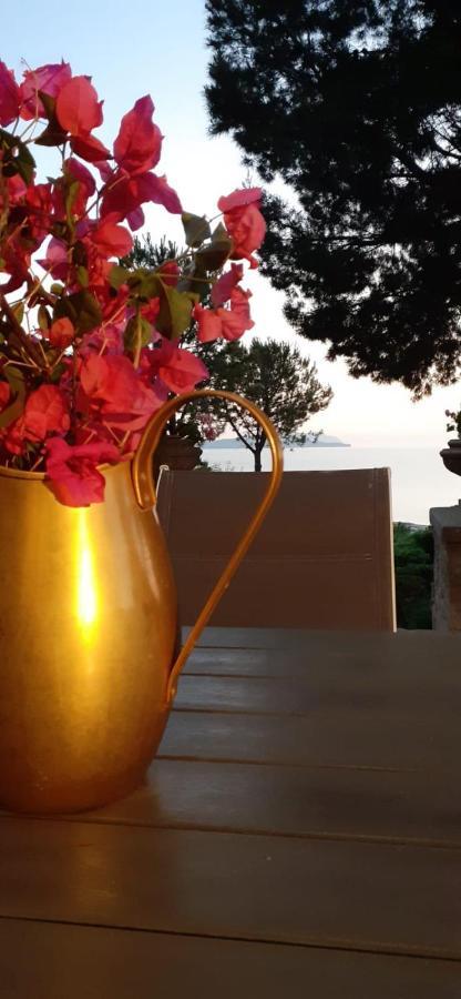 Casa "Le Terrazze" Villa Erice Exterior photo